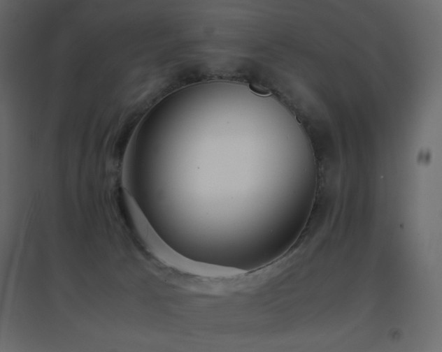 X0000096650033200802051205