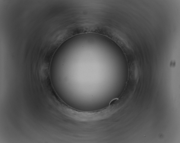 X0000096650034200802051205