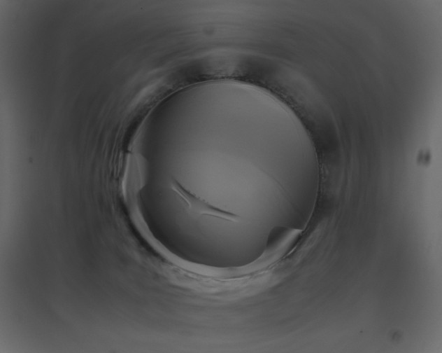 X0000096650035200802051205
