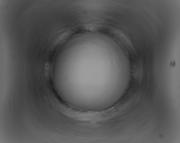 X0000096650036200802051205
