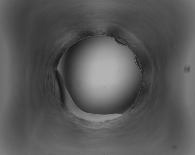 X0000096650037200802051205