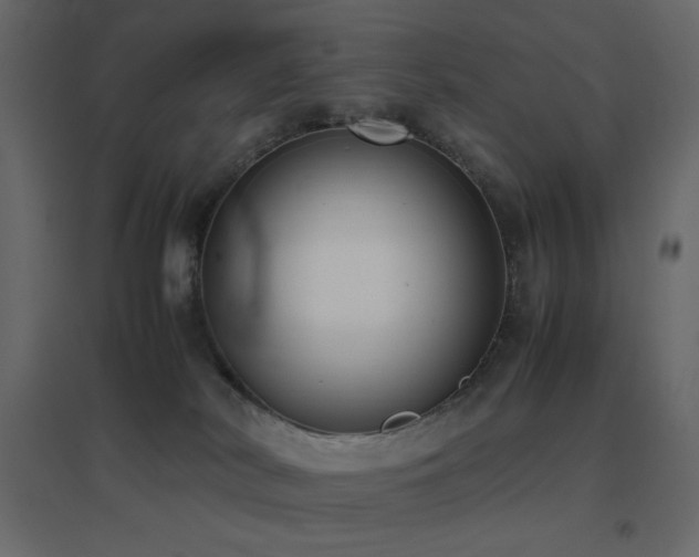 X0000096650038200802051205