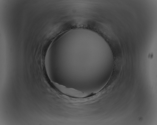 X0000096650039200802051205