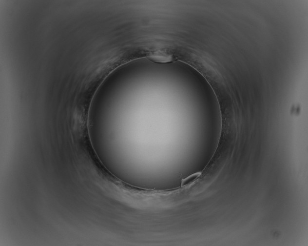 X0000096650040200802051205