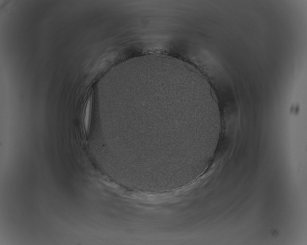 X0000096650041200802051205