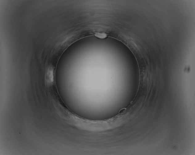 X0000096650042200802051205