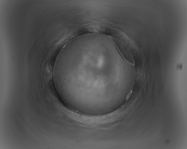 X0000096650043200802051205