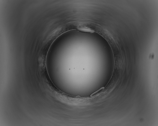 X0000096650044200802051205