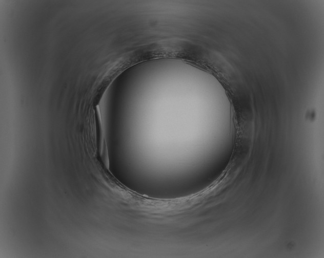 X0000096650045200802051205