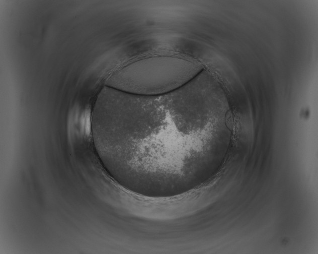 X0000096650046200802051205