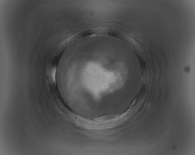 X0000096650047200802051205