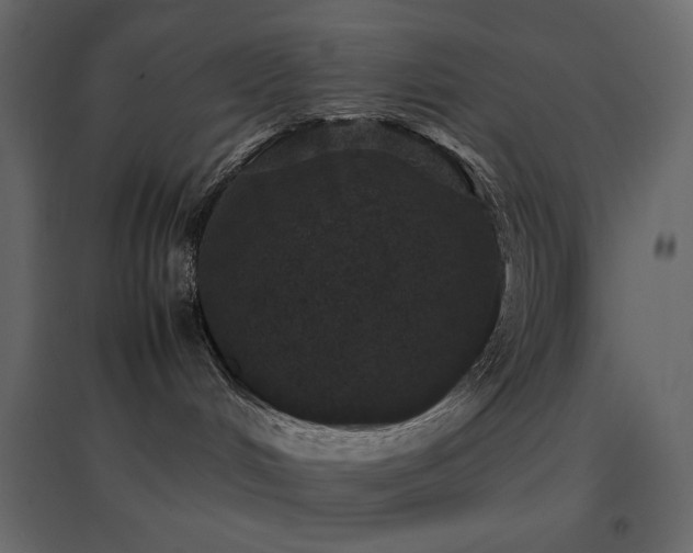 X0000096650048200802051205
