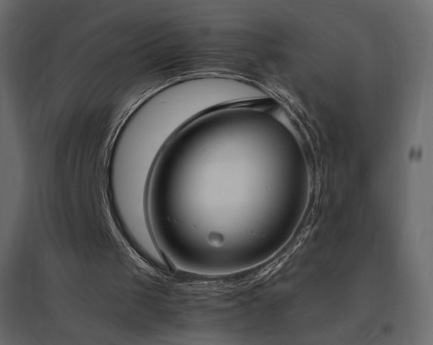 X0000096650049200802051204