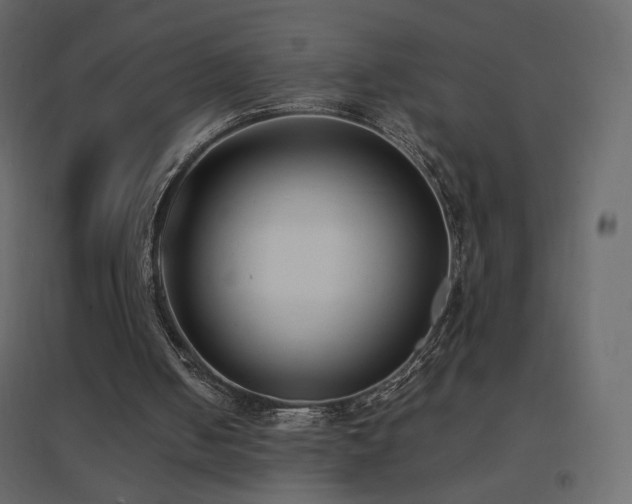 X0000096650050200802051204