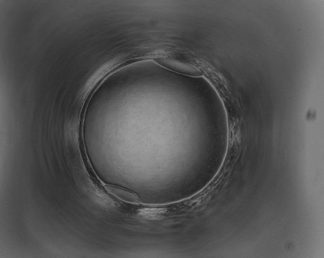 X0000096650051200802051204
