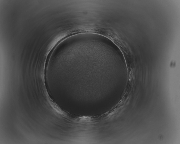 X0000096650052200802051204