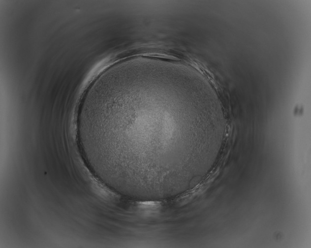 X0000096650053200802051205