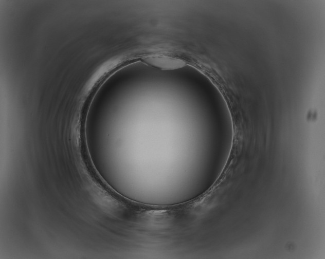 X0000096650054200802051205