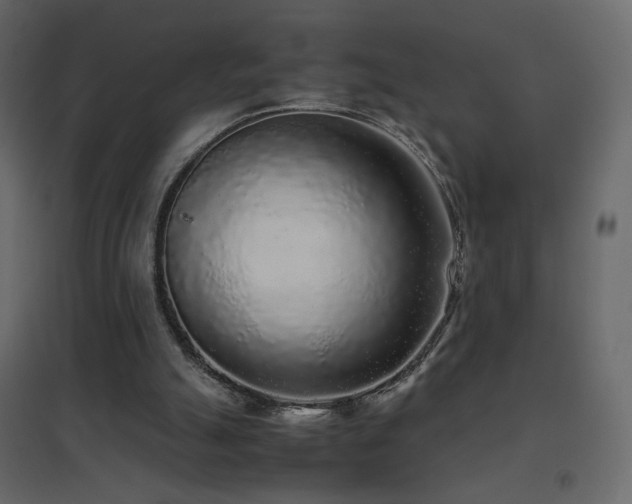 X0000096650055200802051205