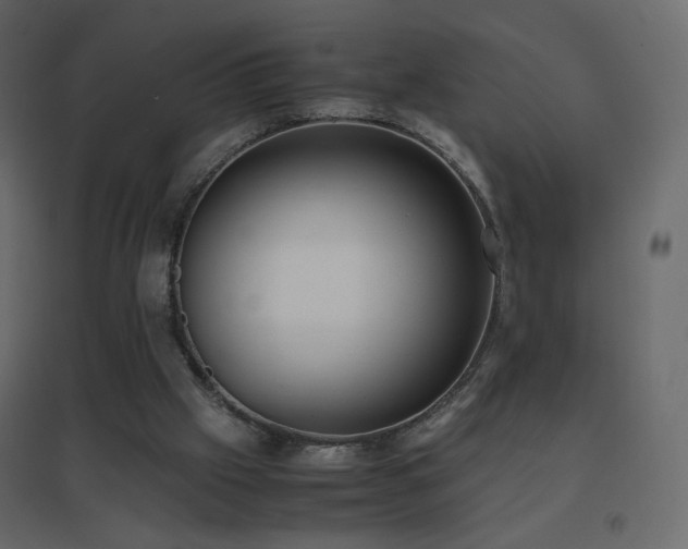 X0000096650057200802051205