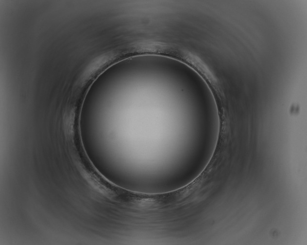 X0000096650058200802051205