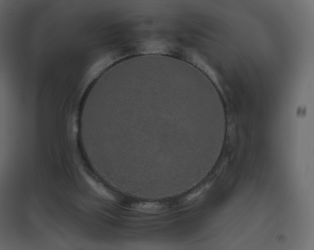 X0000096650059200802051205