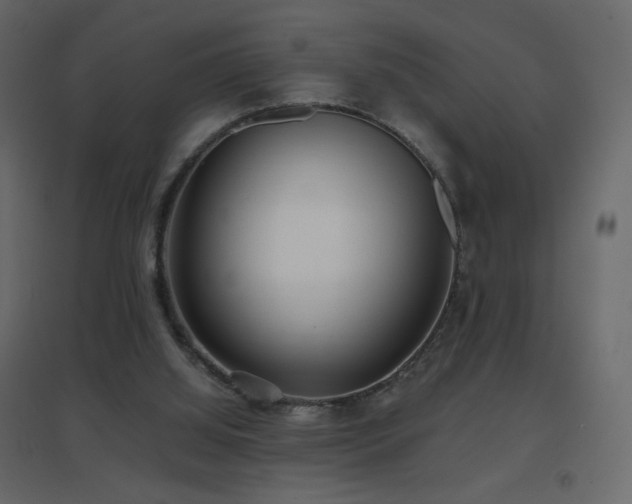 X0000096650060200802051205