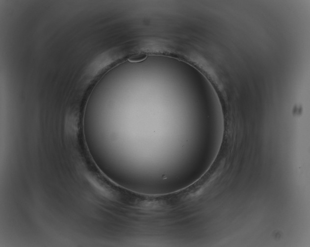 X0000096650063200802051205