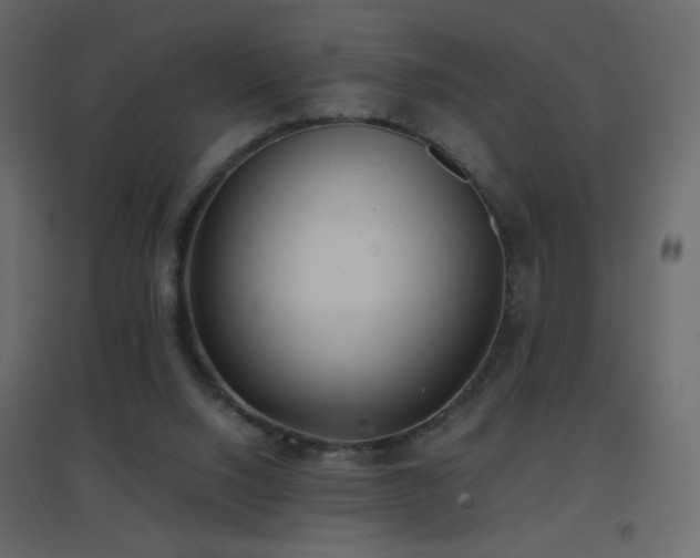 X0000096650064200802051205