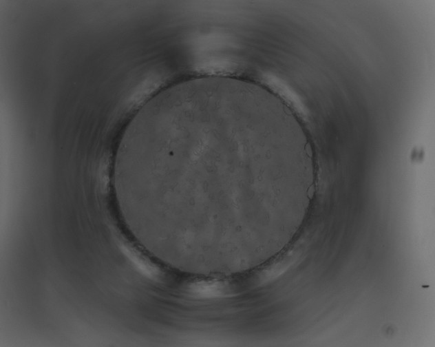 X0000096650065200802051205