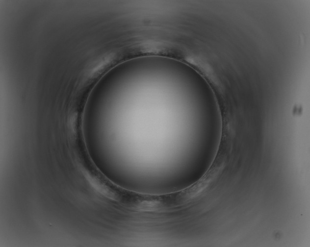 X0000096650066200802051205