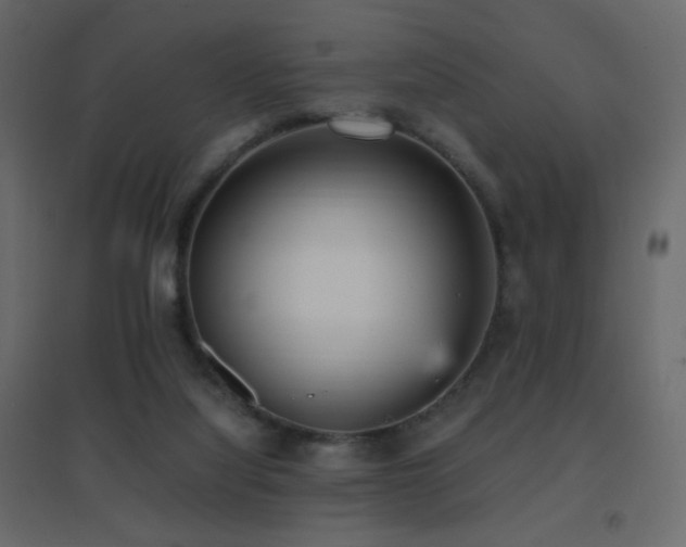 X0000096650068200802051205