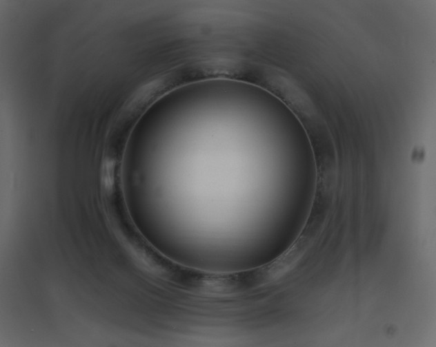 X0000096650070200802051205