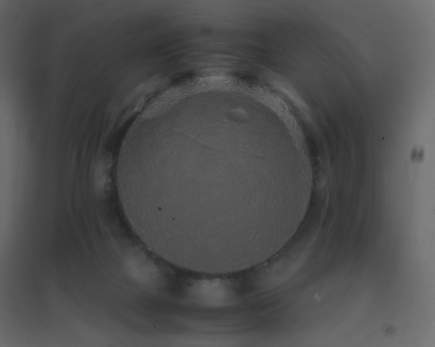 X0000096650073200802051205
