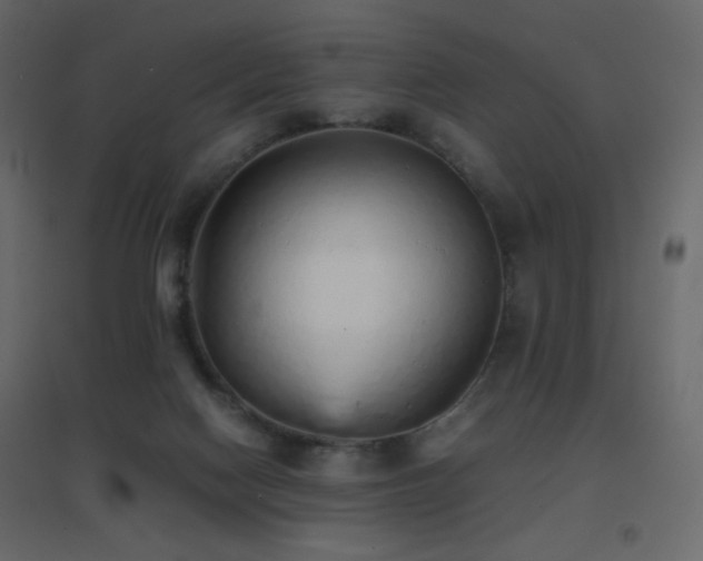 X0000096650074200802051205