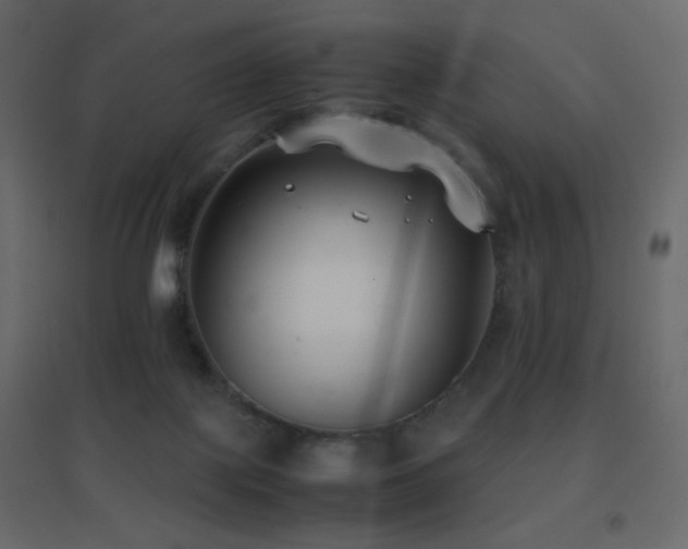 X0000096650075200802051205