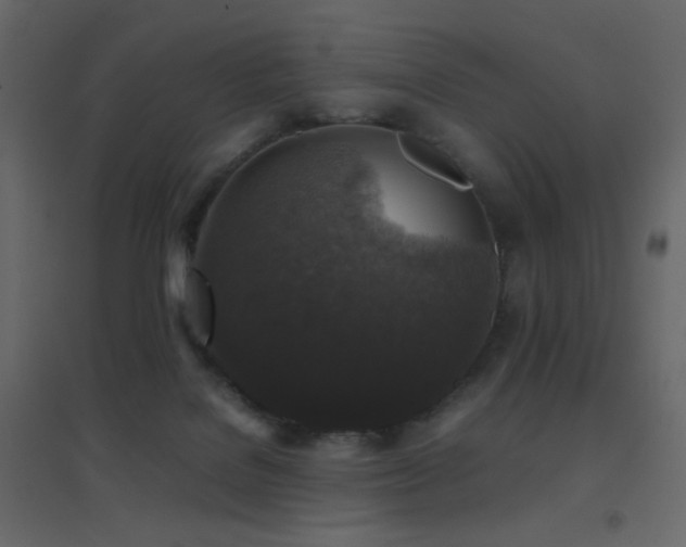 X0000096650076200802051205