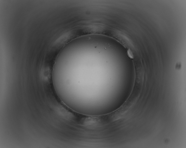 X0000096650077200802051205
