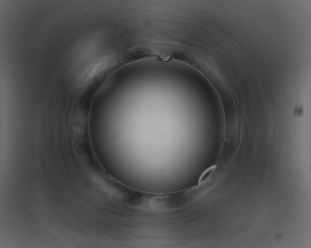X0000096650078200802051205