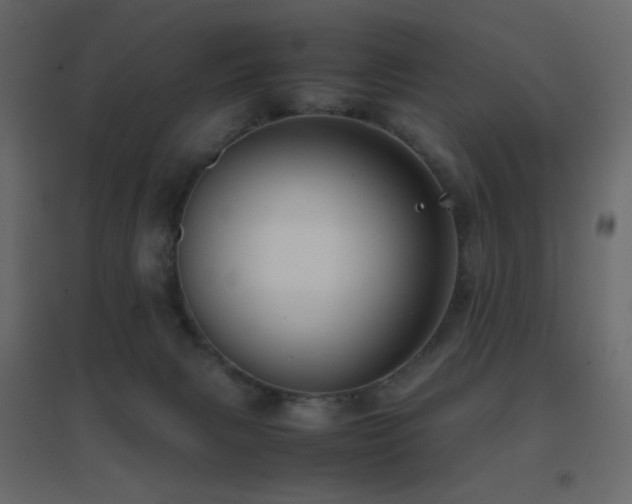 X0000096650079200802051205