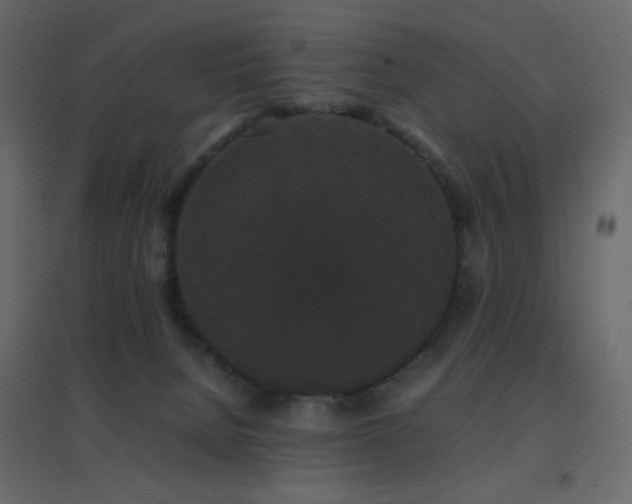 X0000096650080200802051205