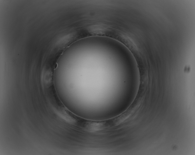 X0000096650081200802051205