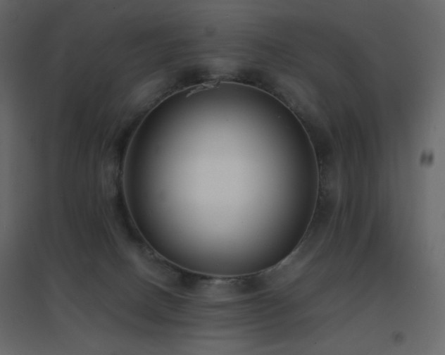 X0000096650082200802051205