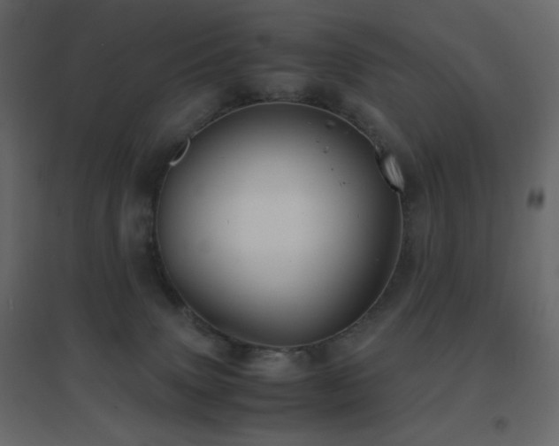 X0000096650083200802051205