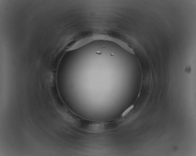 X0000096650084200802051205