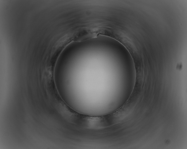 X0000096650085200802051205