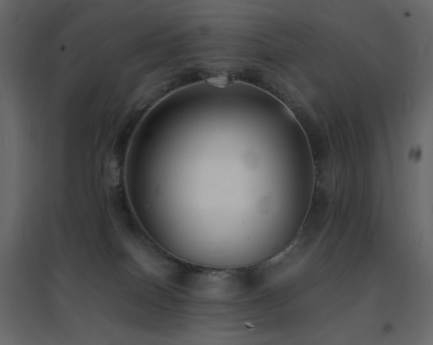 X0000096650086200802051205