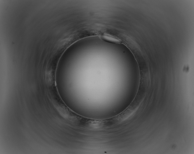 X0000096650088200802051205