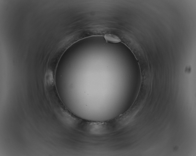 X0000096650089200802051205