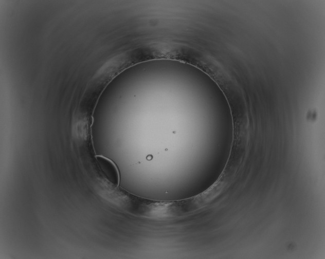 X0000096650090200802051205